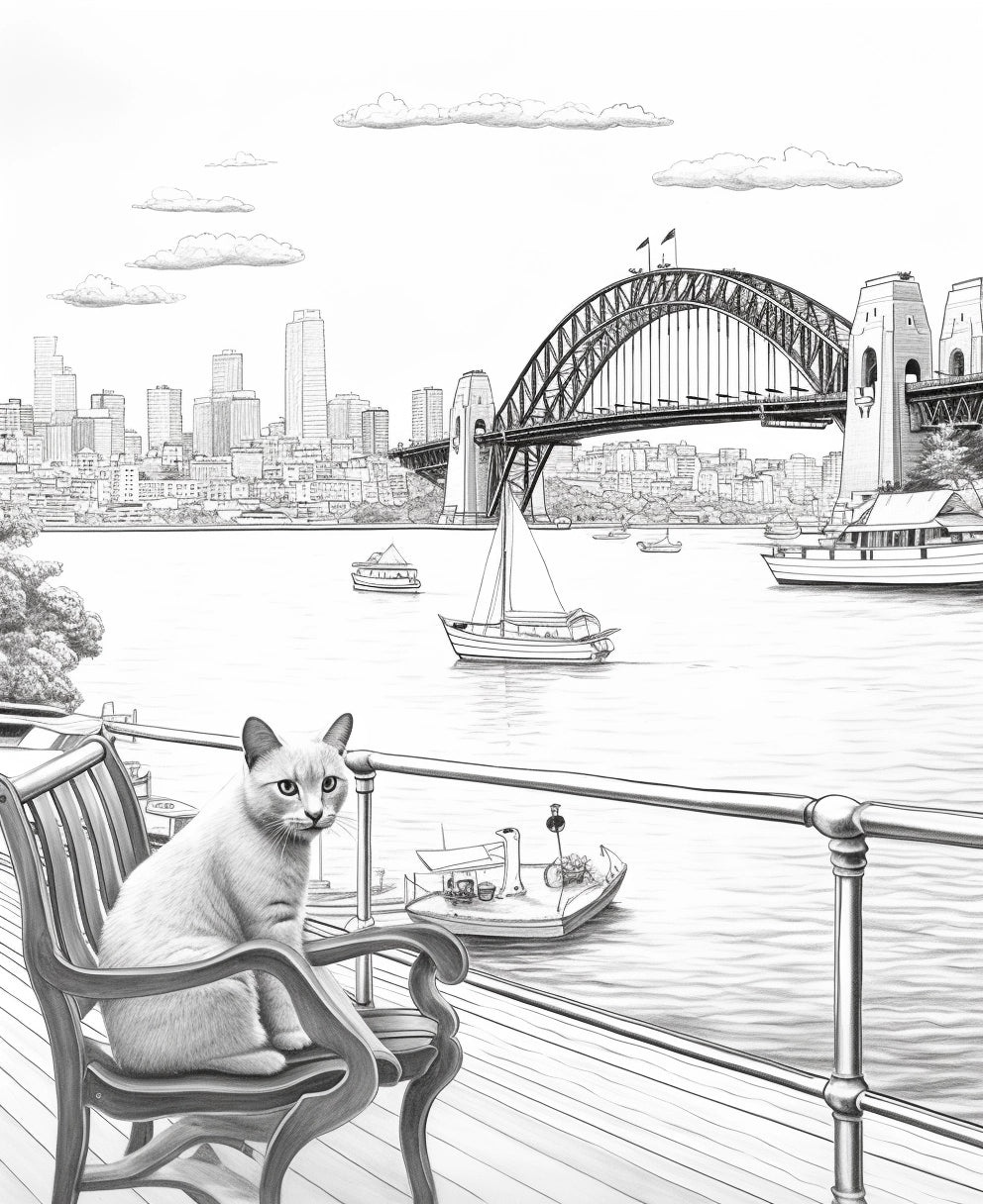 Cat Overlooking the Sydney Harbour Bridge